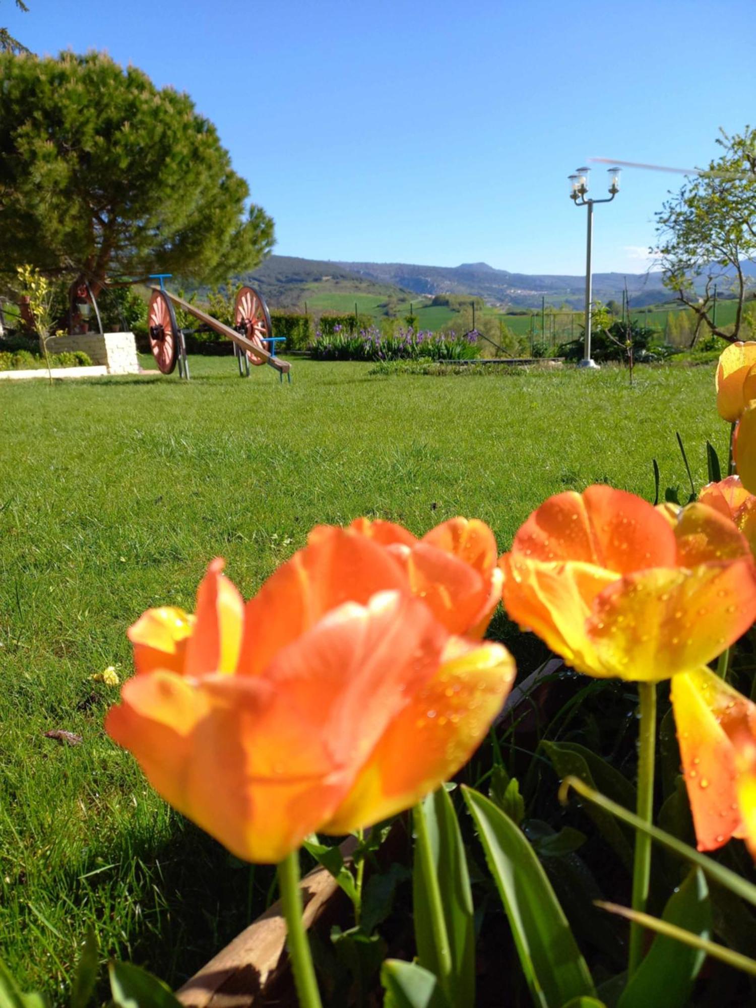 Casa Albaitar Con Piscina Y Sala De Juegos Azcona Εξωτερικό φωτογραφία